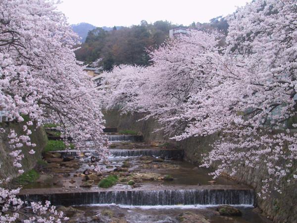 Kadonobo Ryokan Kōbe Esterno foto